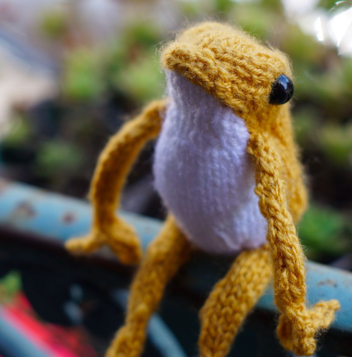 Knitted frogs