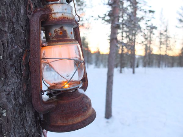 Magical stay in Finnish Lapland