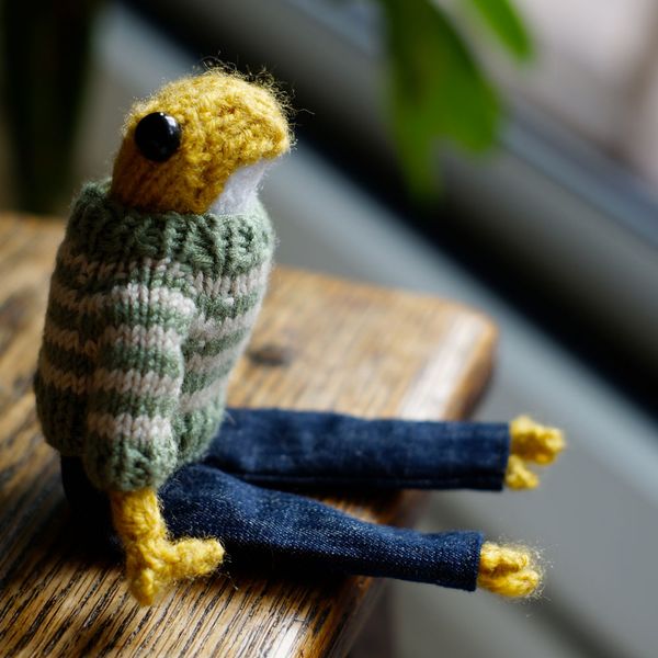 Handmade knitted frog wearing a jumper and a pair of jeans - made to order!